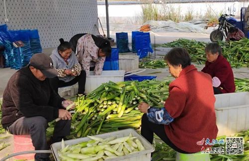 抚州幼师高专驻村工作队 精准助力农产品销售的暖心图景