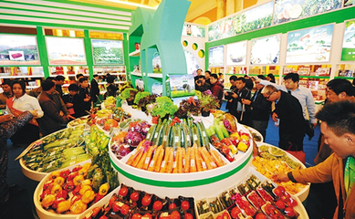 2015海南冬交会12日启幕 附详细攻略让你越逛越有味