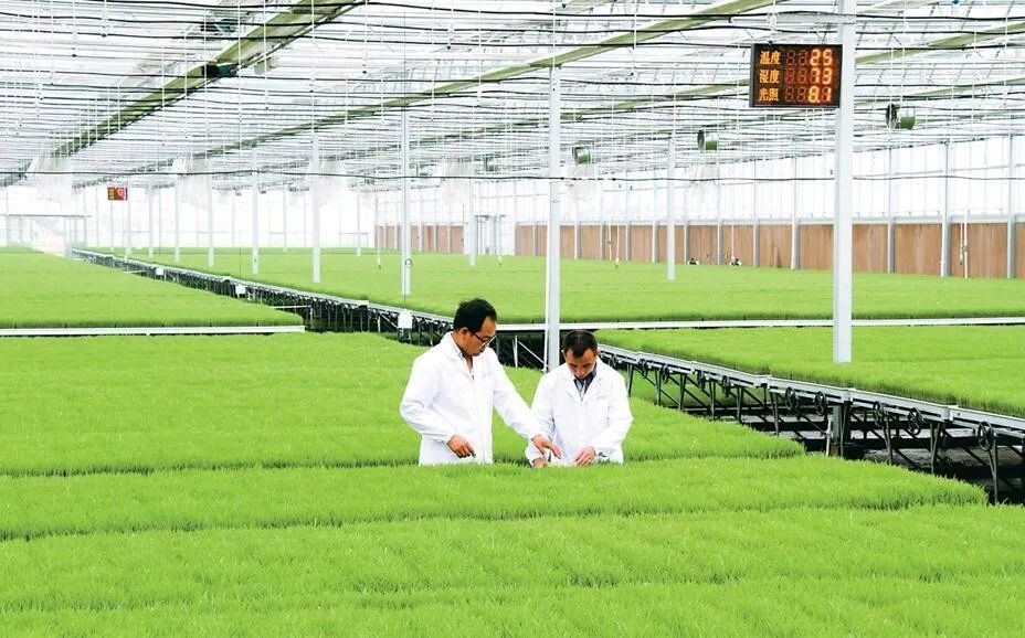 长三角农业联盟在沪成立，安徽任首轮“主持人”，共绘现代农业新篇章