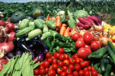 农产品市场周报 供需格局调整，主要品类价格普遍小幅回升