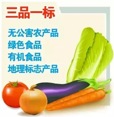 公安县新增9个“三品一标”认证产品，农产品质量与品牌建设迈上新台阶